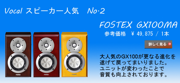 FOSTEX GX100MA