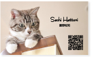 猫　ペット　写真 名刺　印刷 ショップカード