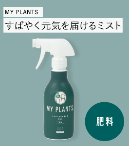 MY PLANTS Ф䤯Ϥߥ