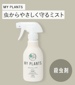 MY PLANTS 䤵ߥ