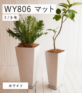 806W ȡ(ޥå)ץ󥿡 