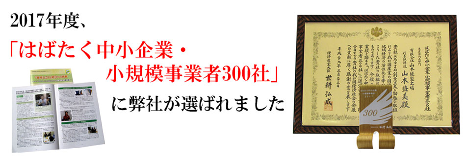 ϤФ澮300