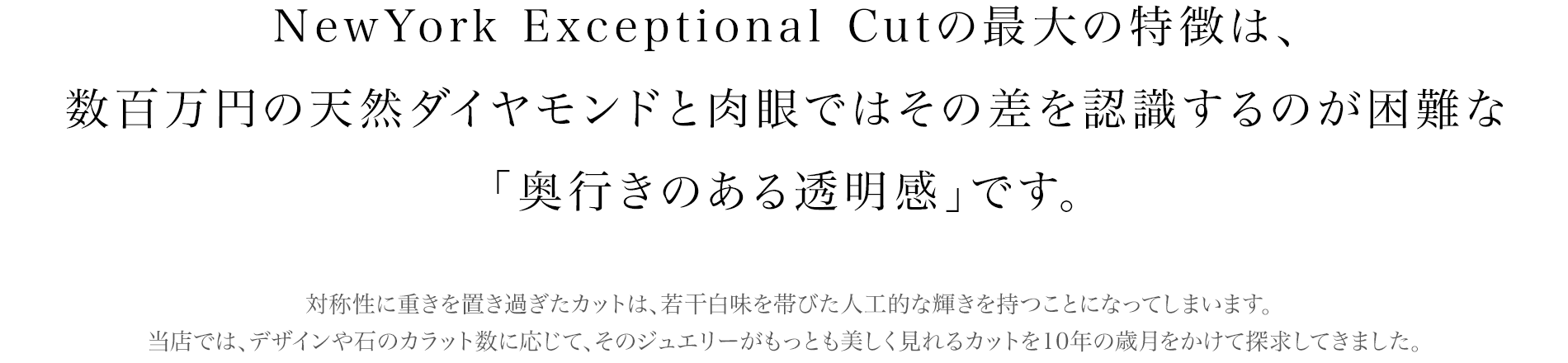 New York Exceptional Cut　ニューヨーク エクセプショナル カット