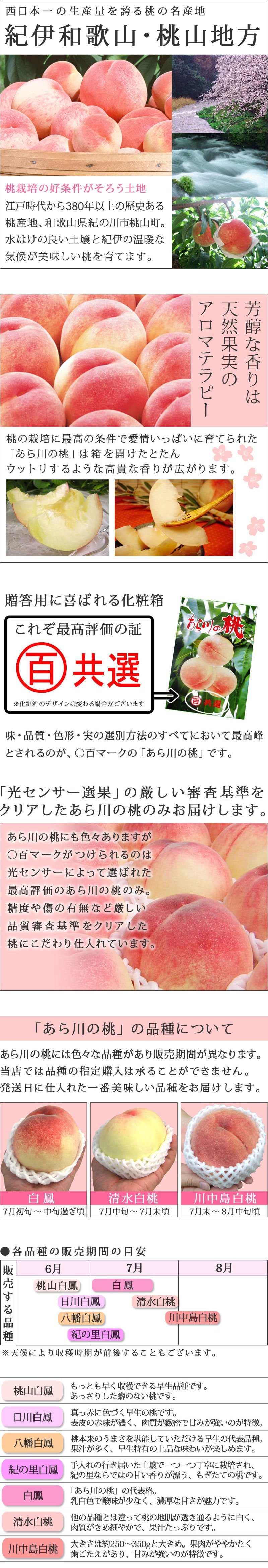 から厳選した 和歌山県より産地直送 JA紀の里 あら川の桃 赤秀品 1.8キロ 6玉から8玉 送料無料 桃 もも あらかわ お中元 ギフト