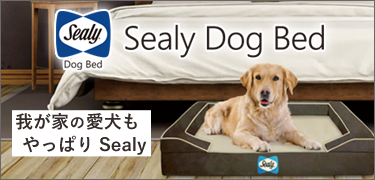Sealy Dog bed ѥ٥å