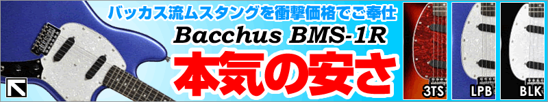 Bacchus BMS-1R ò