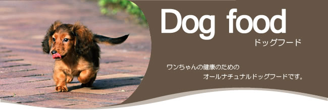 ɥåա/DOG FOOD