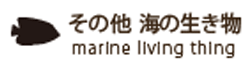¾ ʪ marine  living thing