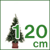 ヌードツリー(120cm)
