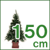 ヌードツリー(150cm)