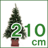 ヌードツリー(210cm)