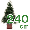 ヌードツリー(240cm)