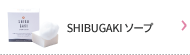 shibugaki
