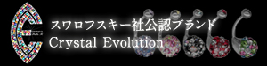 եҸǧ֥ɡCrystal Evolution