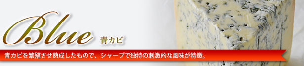 チーズ通販フロマージュ青カビタイプチーズ