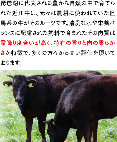 琵琶湖に代表される豊かな自然の中で育てられた近江牛は、元々は農耕に使われていた但馬系の牛がそのルーツです。清冽な水や栄養バランスに配慮された飼料で育まれたその肉質は霜降り度合いが高く、特有の香りと肉の柔らかさが特徴で、多くの方々から高い評価を頂いております。