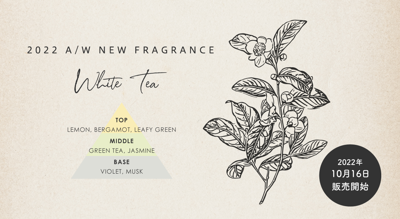 201LABに新しい香り White Tea