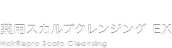 HairRepro 薬用スカルプクレンジング EX HairRepro Scalp Cleansing
