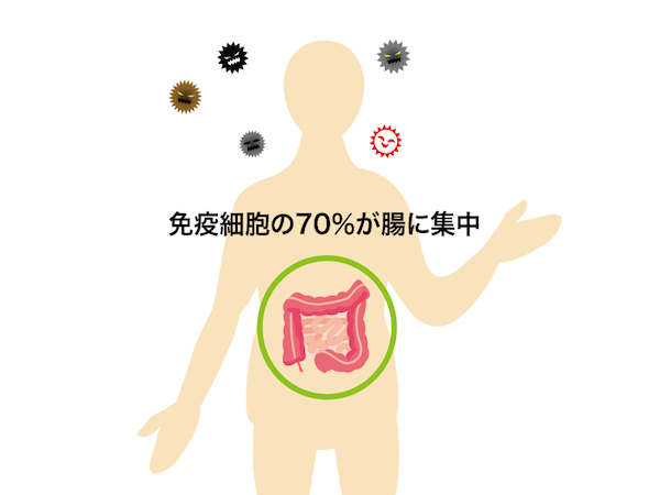 腸の弱い人は風邪をひきやすい！ 免疫力を高めるALAの働き-