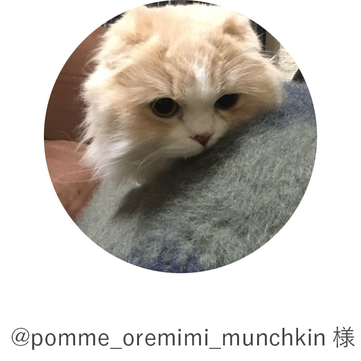 pomme_oremimi_munchkin様