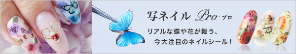 写ネイルプロ（シャネイル）リアルな蝶や花が舞う、今大注目のネイルシール！