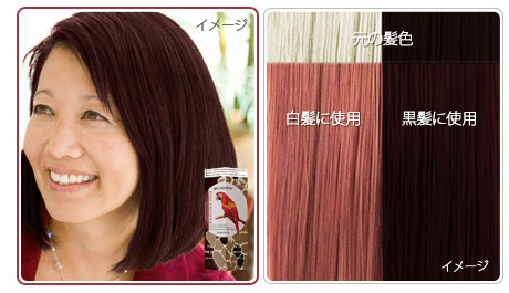 アンナドンナ楽天市場店｜エブリ ヘアカラー 白髪に使用したイメージ