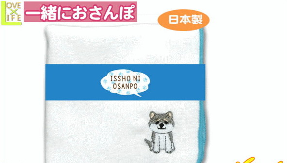 日本製 一緒におさんぽ REAL DOG 刺繍ハンカチ プレゼントを選ぼう！ 黒シバ 日本最大の 柴犬 犬 ミニタオル わんちゃん 動物 ハンカチ ドッグ アニマル かわいい ハンドタオル 雑貨 いぬ