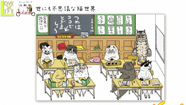 【日本製】【世にも不思議な猫世界】ポストカード【学校】【koriri】【猫】【ハガキ】【手紙】【文房具】【ネコ】【ねこ】【グッズ】【スタンプ】【かわいい】