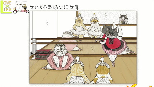 【日本製】【世にも不思議な猫世界】ポストカード【バレリーニャ】【koriri】【猫】【ハガキ】【手紙】【文房具】【ネコ】【ねこ】【グッズ】【スタンプ】【かわいい】