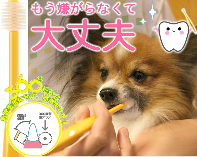 日本製日本製小型犬用歯ブラシ ビバテック シグワン グッズ デンタルケア用品
