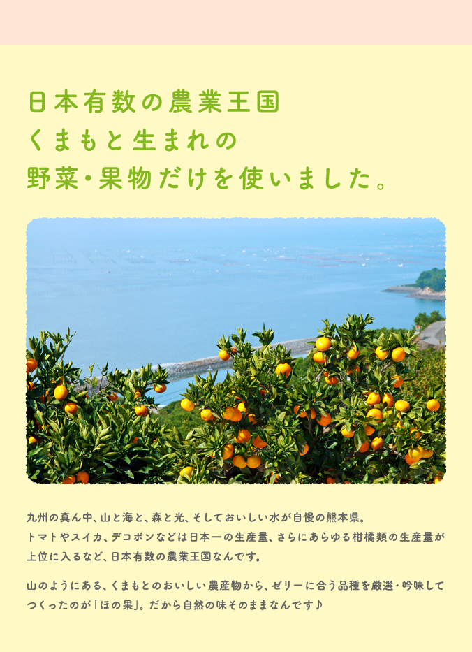 日本有数の農業王国くまもと生まれの野菜・果物だけを使いました。九州の真ん中、山と海と、森と光、そしておいしい水が自慢の熊本県。トマトやスイカ、デコポンなどは日本一の生産量、さらにあらゆる柑橘類の生産量が上位に入るなど、日本有数の農業王国なんです。山のようにある、くまもとのおいしい農産物から、ゼリーに合う品種を厳選・吟味してつくったのが「ほの果」。だから自然の味そのままなんです♪