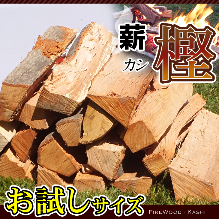アウトドア キャンプ 愛知県産 カシの薪 樫の薪 乾燥薪 (1箱5kg以上