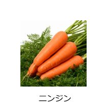 野菜種子06