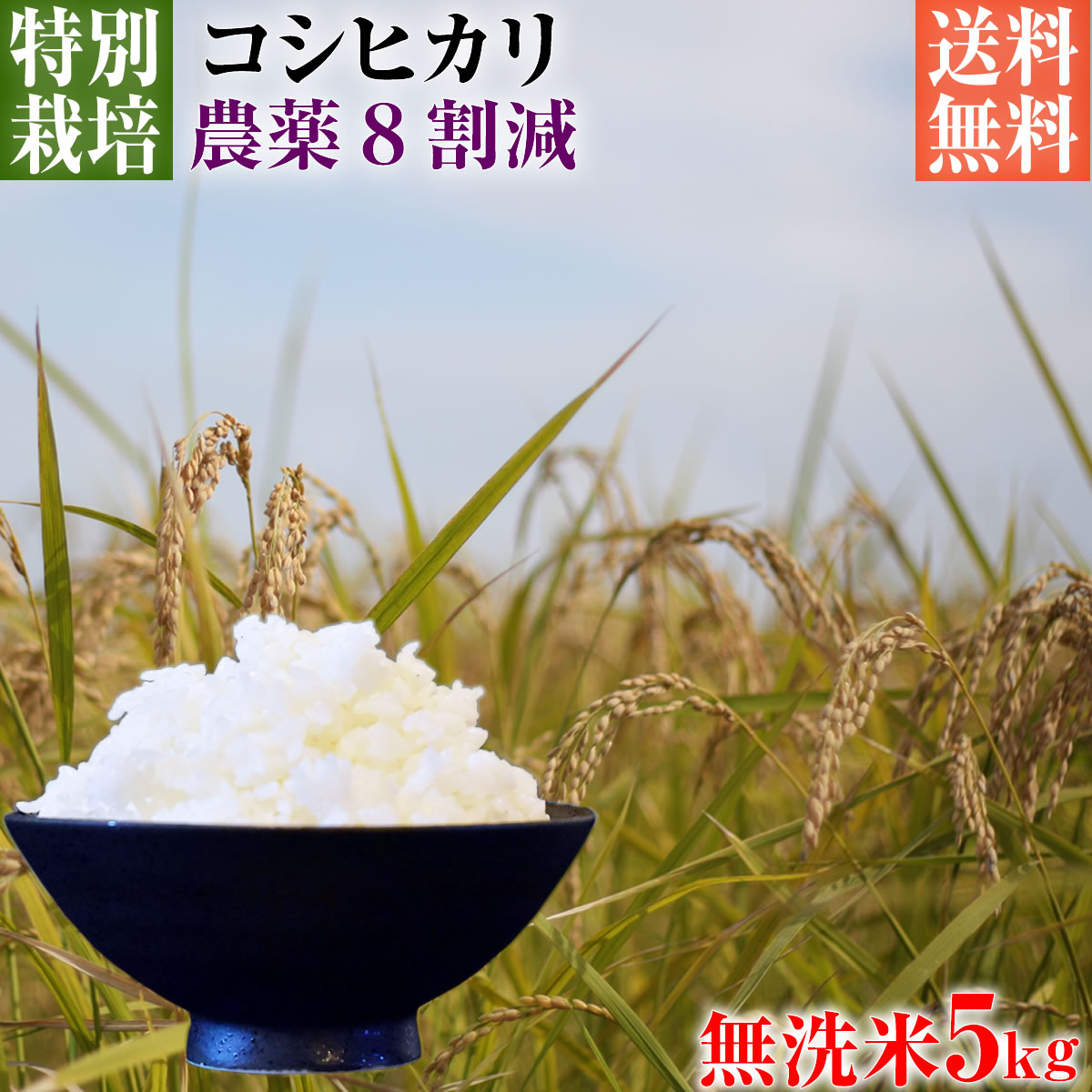 カテゴリ まさたか様専用 無農薬コシヒカリ玄米20kg(5kg×4)令和3年 徳島県産の通販 by U-KO's shop｜ラクマ こちらは