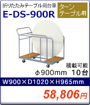 E-DS-900R