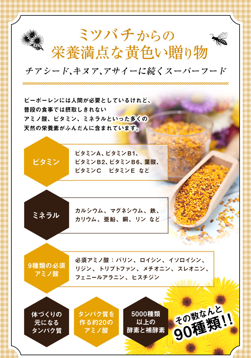 ビーポーレン（花粉だんご） 500ｇ  花粉荷 天然の栄養食品 [05] NICHIGA(ニチガ)