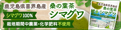 鹿児島県喜界島産 桑の葉茶 シマグワ