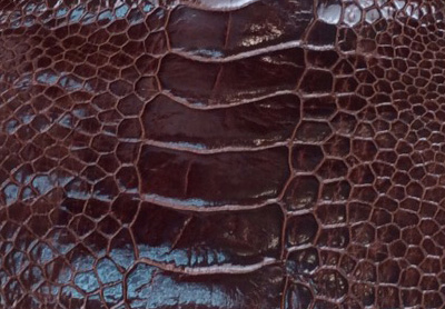 エキゾチックレザー　革靴　ウミガメ　トカゲ
