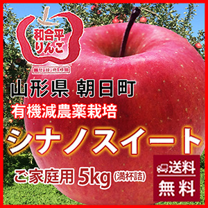 シナノシート　山形県朝日町　和合平の葉取らずりんご10kg