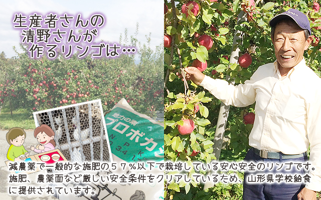 和合平りんご　減農薬栽培　葉取らずサンふじリンゴ