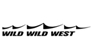 wild wwild west
