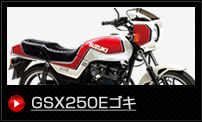 GSX250E