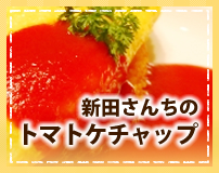 新田さんちのトマトケチャップ