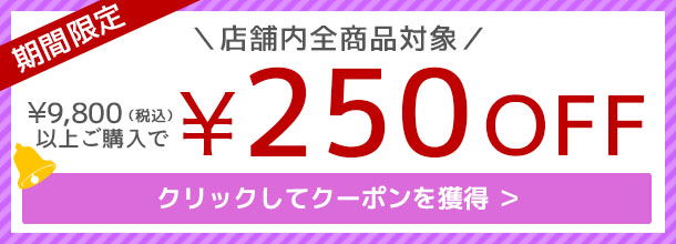 250円OFF！クーポンの獲得はこちら。