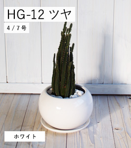HG-12 ĥ
