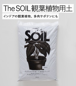 The SOIL()տʪ