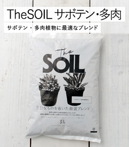The SOIL(ザ・ソイル)サボテン・多肉用