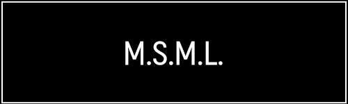M.S.M.L. / MUSIC SAVED MY LIFE (२२)