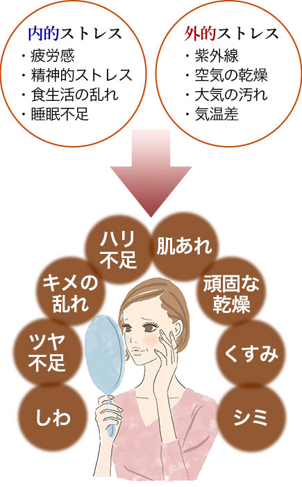日々のストレスダメージ(内的ストレス、外的ストレス)によってお肌の負のスパイラルを説明する図