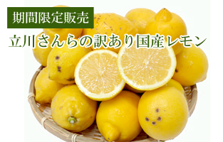 【黄色】立川さんの国産レモン・訳あり品